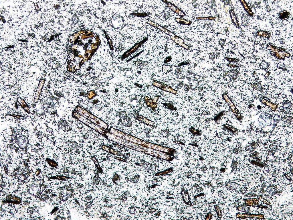 Lamproita con pequeños fenocristales de flogopita y olivino en matriz rica en vidrio. Se observa un cristal de olivino parcialmente sustituido por flogopita. (NPx10). Localidad, Barqueros. (Muestra 11333-ILM)