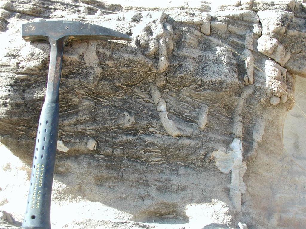 Intensa bioturbación a techo de los estratos de las areniscas de facies playa