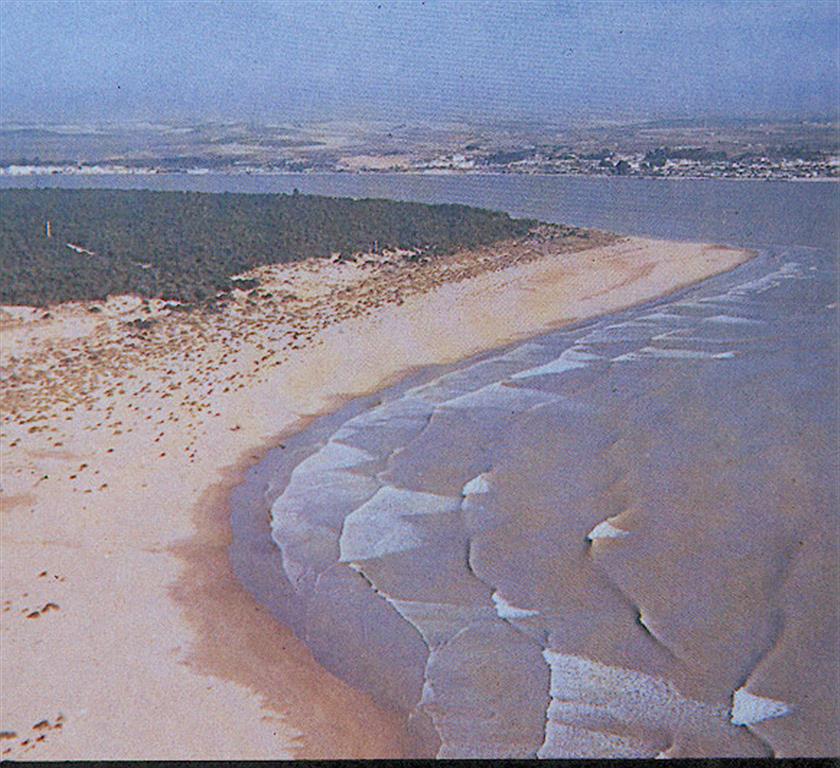 Vista aérea oblicua de la Punta del Malandar (flecha de Doñana)