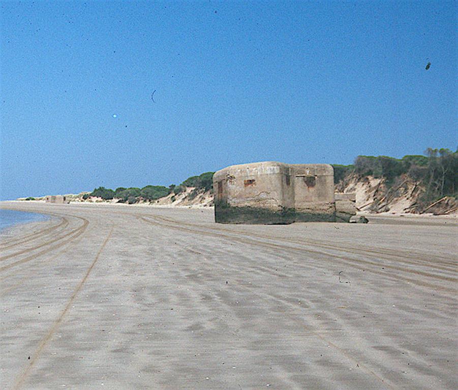 Bunker costero caído y escarpe erosivo sobre dunas. Costa de Doñana en el estuario del Guadalquivir
