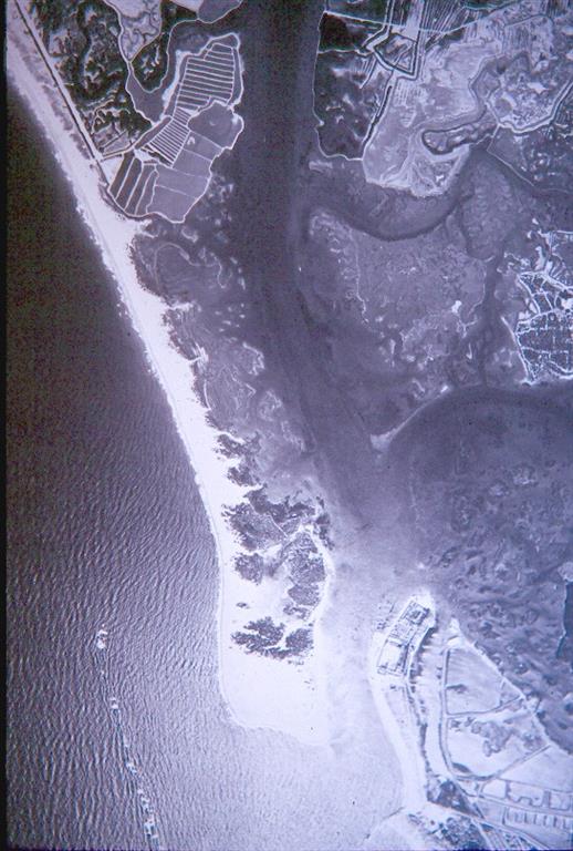 Imagen aérea 1956, flecha litoral Sancti-Petri. Estrecho cuerpo arenoso y desarrollo de marismas al abrigo de la flecha. Algunas explotadas como salinas. La flecha aparece cortada por abanicos de desbordamiento activos durante temporales marítimos