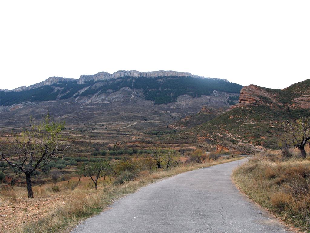 Vista general de la sierra de Peñalmonte con los materiales mesozoicos (al fondo) que cabalgan sobre los materiales cenozoicos (en primer plano)