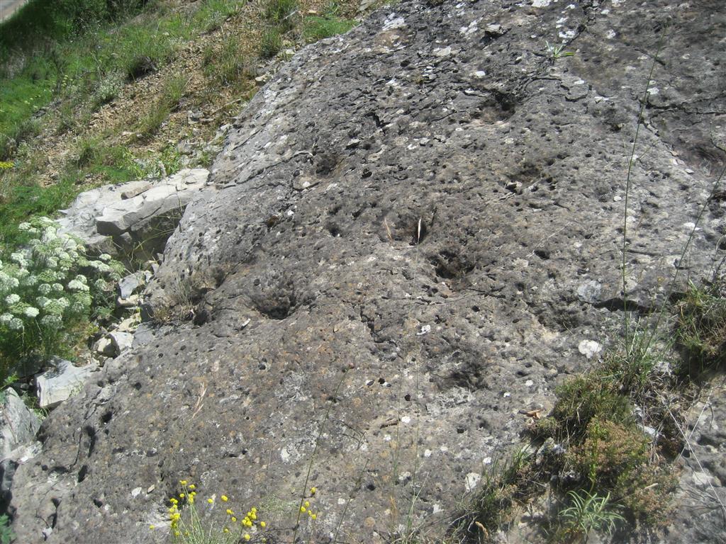 Detalle de posibles huellas de saurópodos en el Sinemuriense.