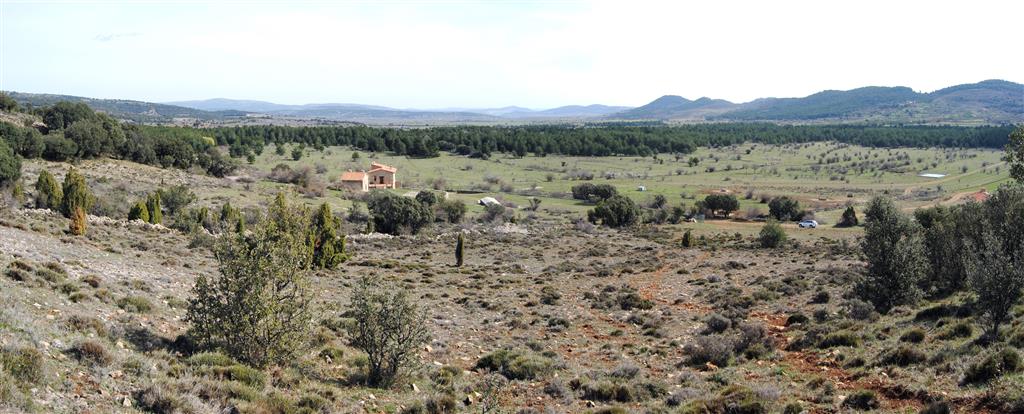 Vista del Polje desde las Casas de la Cerradura, situadas en su tercio SW