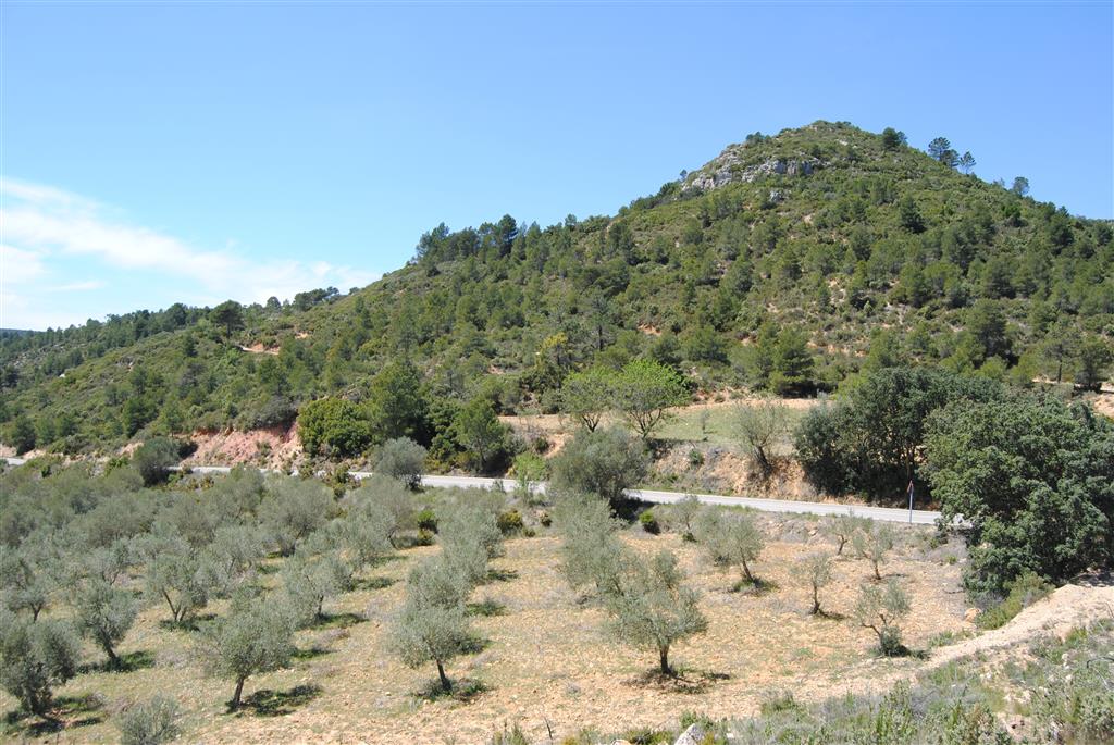 Sección del Paleógeno en la carretera CV-425, cerca del collado de La Molata