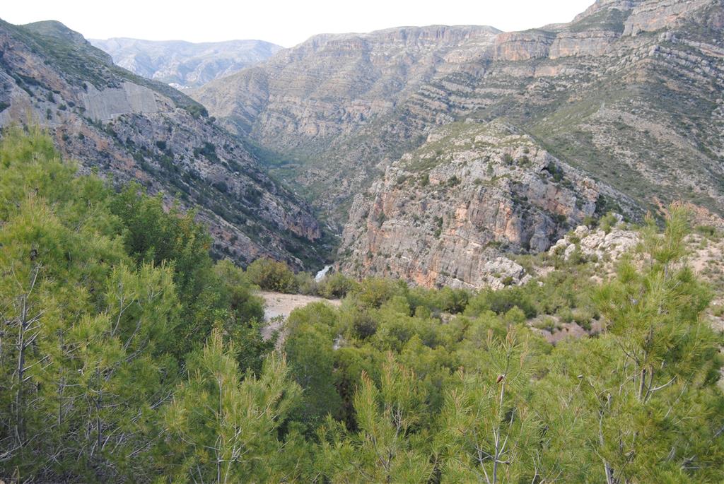 El cañón desde las proximidades de Millares. A la izquierda y parte de la derecha, dolomías del Cenomaniense medio-Coniaciense. A la derecha, sobre las dolomías, por falla, aparecen las calizas, margas arenosas y biocalcarenitas con Orbitolinas del Cretácico inferior, que en este lugar constituyen la mayor parte de la ladera del cañón