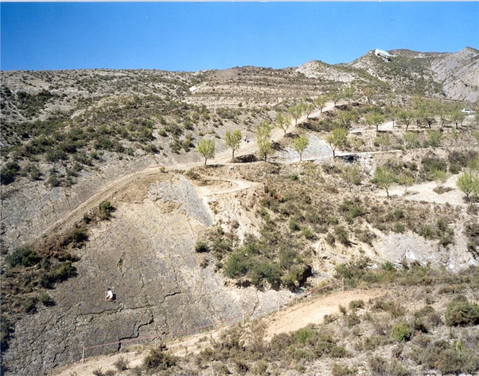 Yacimiento de Los Cayos B (Cornago, La Rioja). Su superficie estratigráfica está dividida en varios tramos y dos niveles superpuestos en donde se pueden observar 24 rastros de dinosaurios terópodos y un buen número de icnitas aisladas.