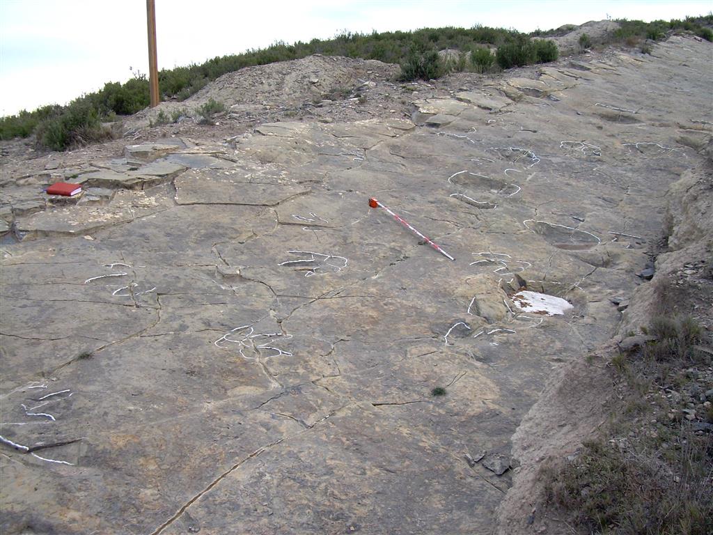 Una de las zonas del yacimiento, formada por un estrato calcáreo con impresiones de icnitas de dinosaurios a techo.