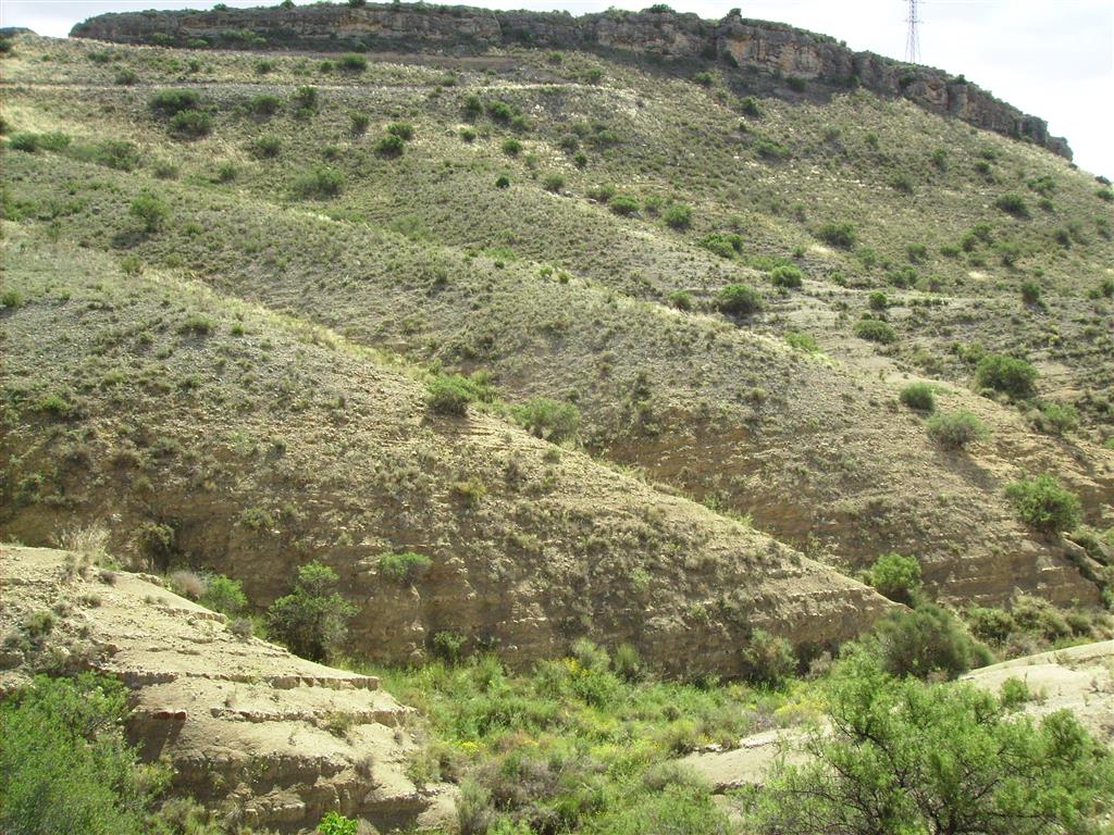 Sección Toarciense-Aaleniense en el camino de las Conchas. Detalle de la extraordinaria exposición que presentan los ciclos sedimentarios de las zonas Serpentinus y Bifrons.