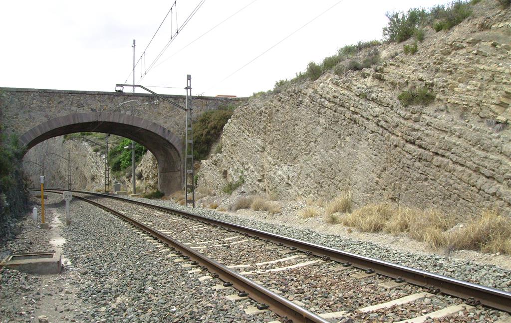 Techo de las calizas tableadas de la Fm. Cuevas Labradas (Sinemuriense) en trinchera del ferrocarril de Ricla (Sección del Juncal).