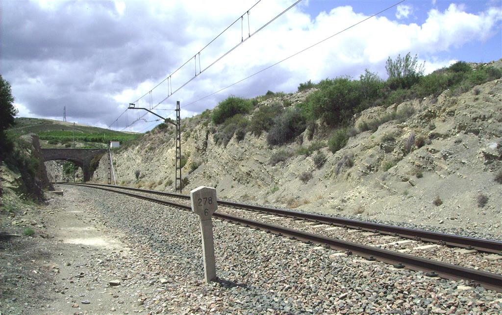 Margas de la F. Cerro del Pez (Pliensbachiense) en trinchera del ferrocarril de Ricla (Sección del Juncal).