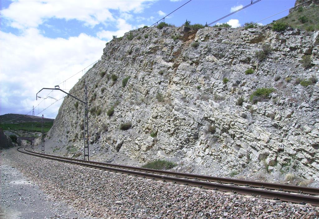 Tránsito entre los materiales del Toarciense y los materiales del Aaleniense en la trinchera del ferrocarril de Ricla (sección del Juncal). En la parte izquierda afloran materiales de las zonas Insigne p.p., Pseudoradiosa y Aalensis, y en la parte derecha afloran materiales del Jurásico Medio.