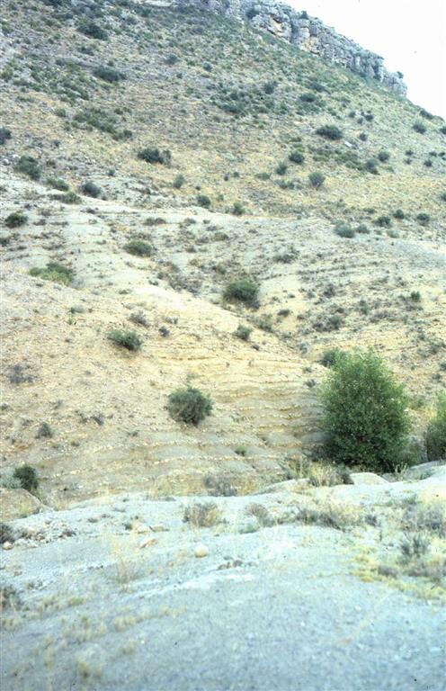 Vista general de los materiales del Toarciense en la sección de Ricla (Camino de las Conchas)