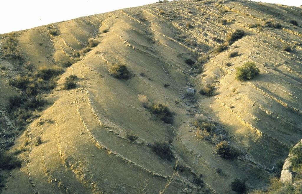 Detalle de la extraordinaria exposición que presentan los ciclos sedimentarios de las zonas Serpentinus y Bifrons en los afloramientos de Ricla (Camino de las Conchas)