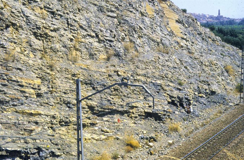 Detalle del tránsito entre los materiales del Toarciense y los materiales del Aaleniense en la trinchera del ferrocarril de Ricla. En la parte izquierda afloran materiales de las zonas Insigne p.p., Pseudoradiosa y Aalensis, y en la parte derecha afloran materiales del Jurásico Medio.