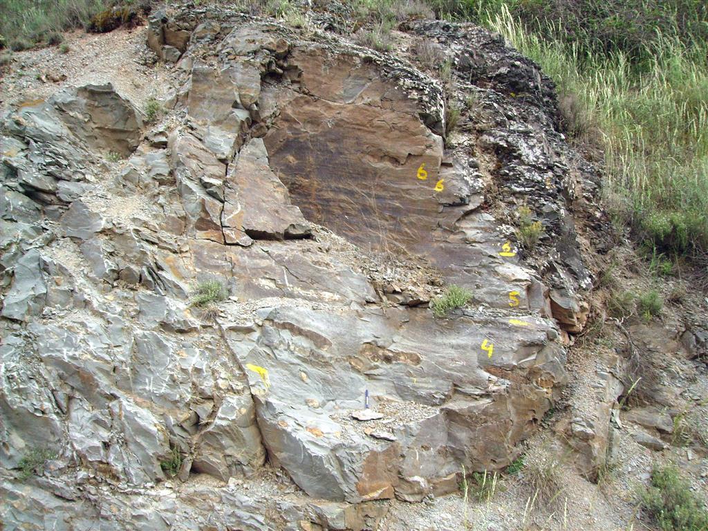 Lutitas margosas con nódulos carbonatados (típica facies rizada) en la parte baja de la Formación Murero, Caesaraugustiense inferior. Margen izaquierda de la rambla de Valdemiedes.