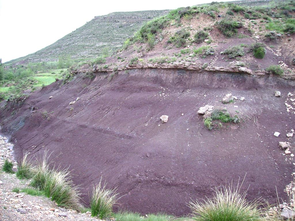 Arcillas vinosas de la Fm. Arcillas de Morella, Barremiense superior-Aptiense inferior, en la base de la secuencia estratigráfica, en las proximidades del río Blanco, Allepuz.