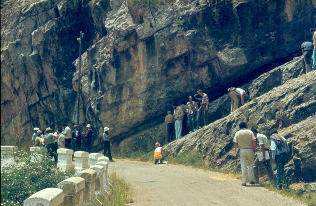 Calizas urgonianas del Aptiense en las trincheras de la carretera de Villarroya de Pinares a Miravete de la Sierra