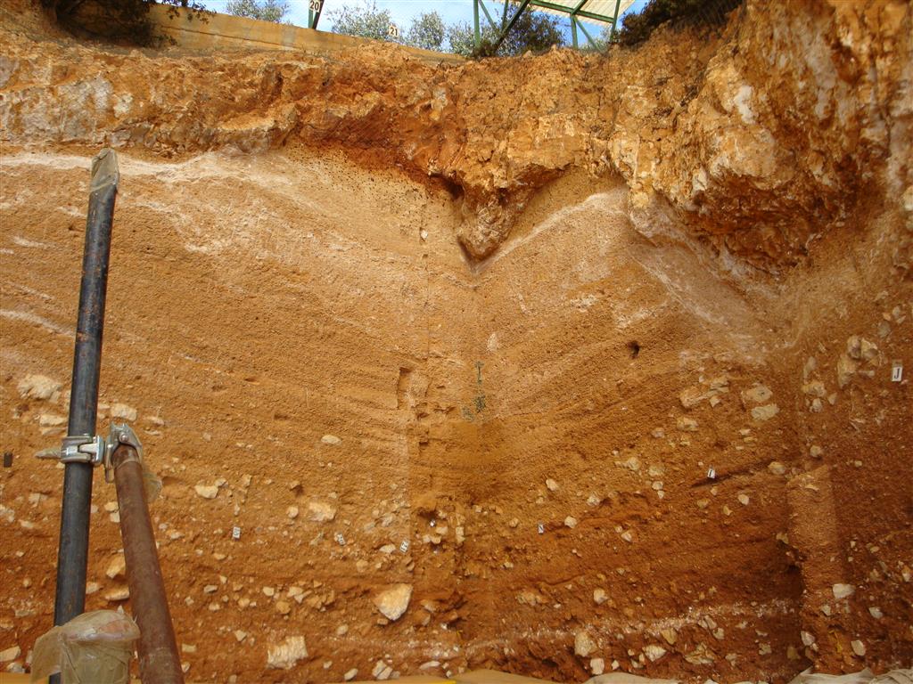 Techo y relleno sedimentario que colmata por completo la Galería. Trinchera del ferrocarril. Atapuerca.