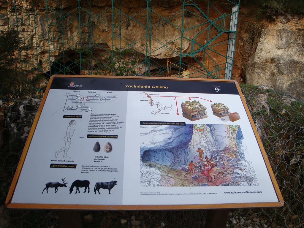 Panel explicativo del yacimiento de Galería. Trinchera del ferrocarril. Atapuerca.