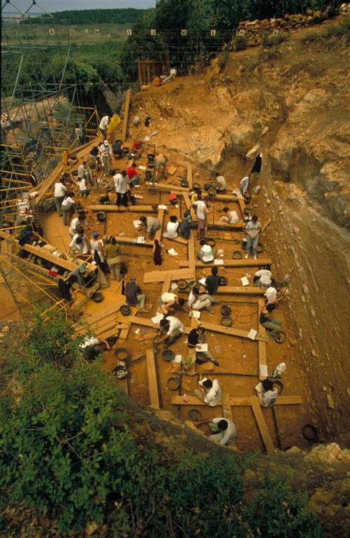 Vista general de la excavación del yacimiento Gran Dolina en la trinchera del ferrocarril de la Sierra de Atapuerca, durante una campaña de excavación de los últimos años (foto Equipo Investigador de Atapuerca)