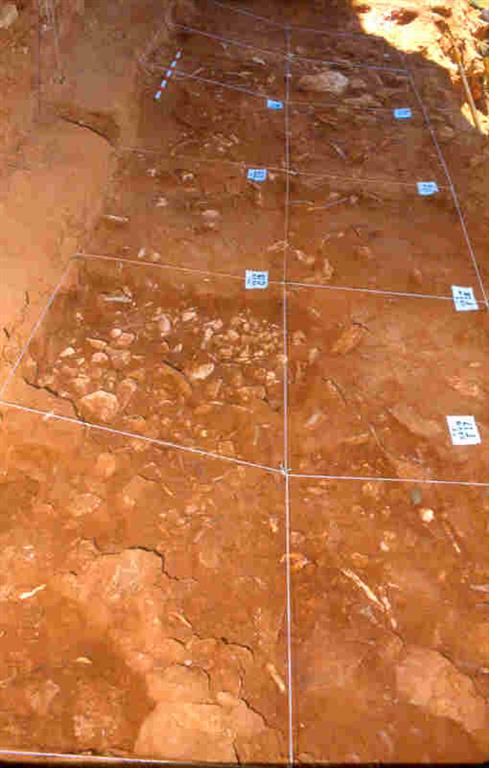 Vista parcial del yacimiento Galería en la trinchera del ferrocarril de la Sierra de Atapuerca, durante los trabajos de montaje de la cuadrícula aérea (foto Equipo Investigador de Atapuerca)