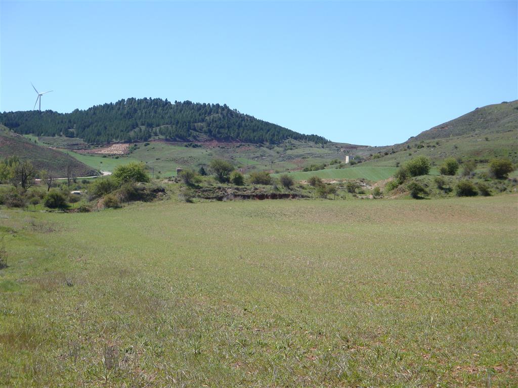 Vista general del yacimiento de Torralba dentro del polje de la Conquezuela. Este yacimiento es del Pleistoceno superior y tiene una edad de 250.000 años. Es más moderno que el yacimiento de Ambrona. Carretera de Ambrona a Torralba.