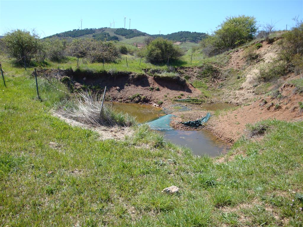 Catas del yacimiento de Torralba inundadas donde se aprecia la baja conservación de los taludes. Este yacimiento paleontológico está abandonado, sin medidas de protección, ni de conservación adecuadas.