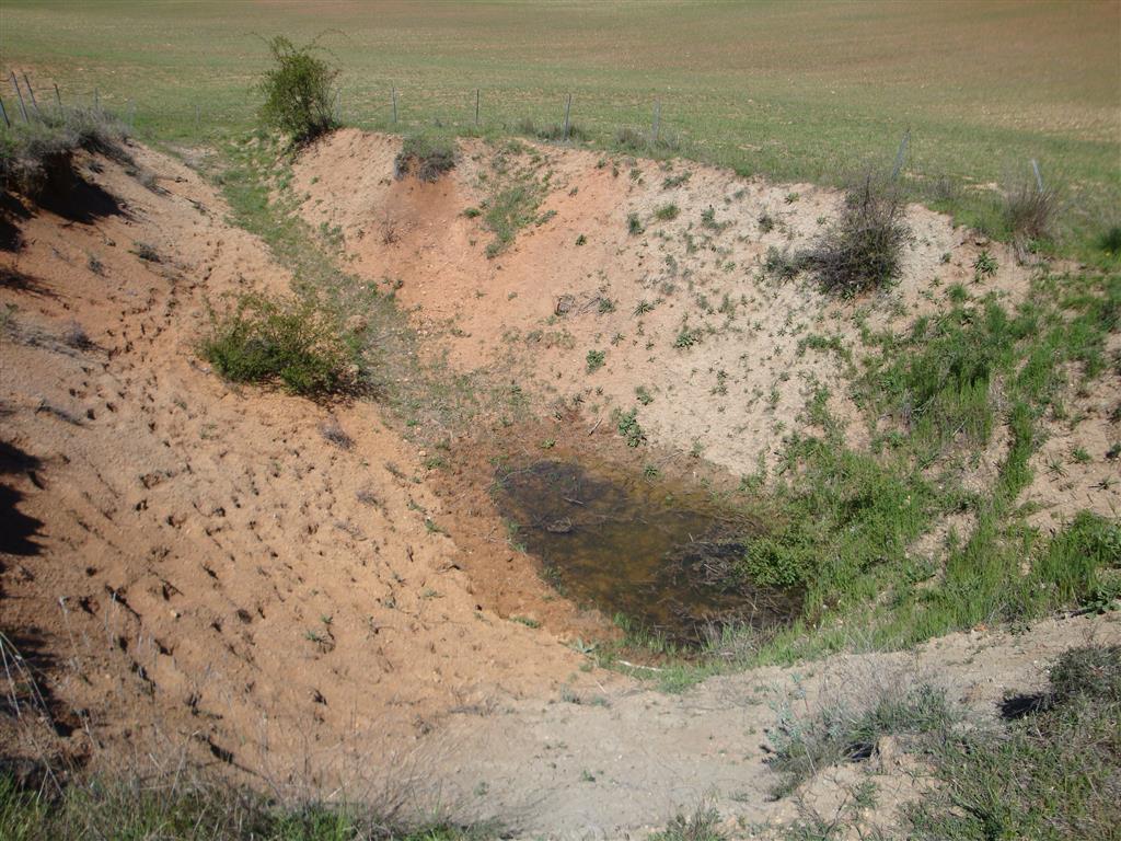 Hueco de una de las catas del yacimiento de Torralba. Los taludes han perdido verticalidad y muestras procesos activos de deslizamiento y erosión que no permiten observar los rasgos originales de la Unidad de Torralba.