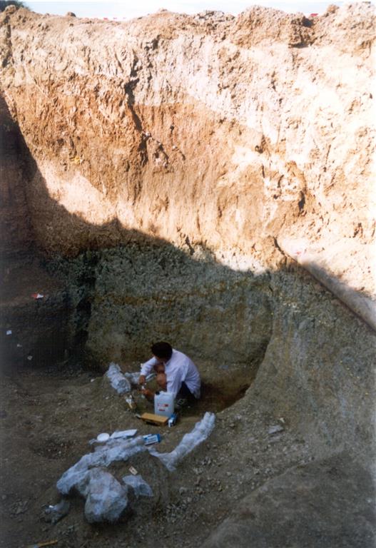 Vista parcial de las excavaciones de 1994 en el yacimiento de Torralba (foto Manuel Santonja)