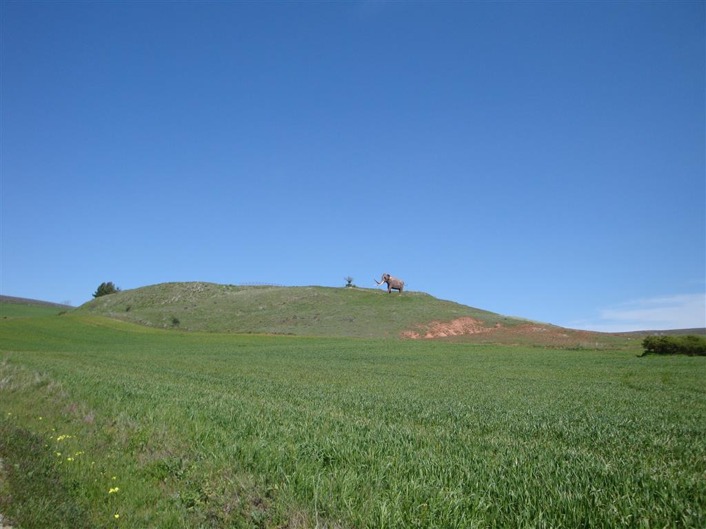 Vista de la loma donde se encuentra el yacimiento paleontológico de Ambrona desde la carretera de Ambrona a Torralba. Hay una réplica de un Palaeoloxodon antiquus que es el emblema del yacimiento.