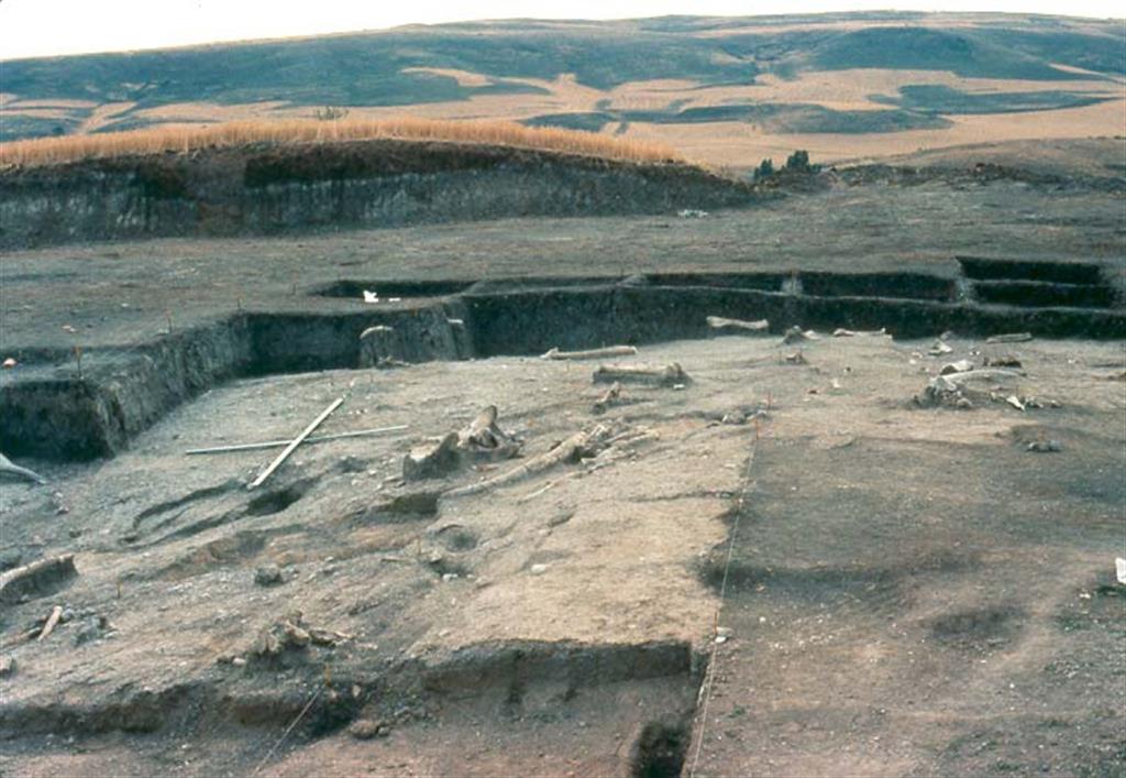 Vista parcial del yacimiento de Ambrona durante las excavaciones de Howell de 1981 (foto L. Gerardo Vega Toscano)