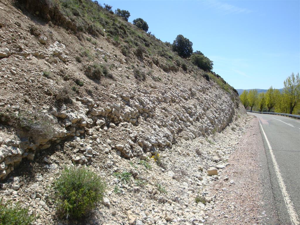 Corte en la carretera de entrada a Somolinos. Niveles de calizas nodulosas correspondientes a ambientes palustres que se han interpretado como una transgresión generalizada en la cuenca Ibérica.
