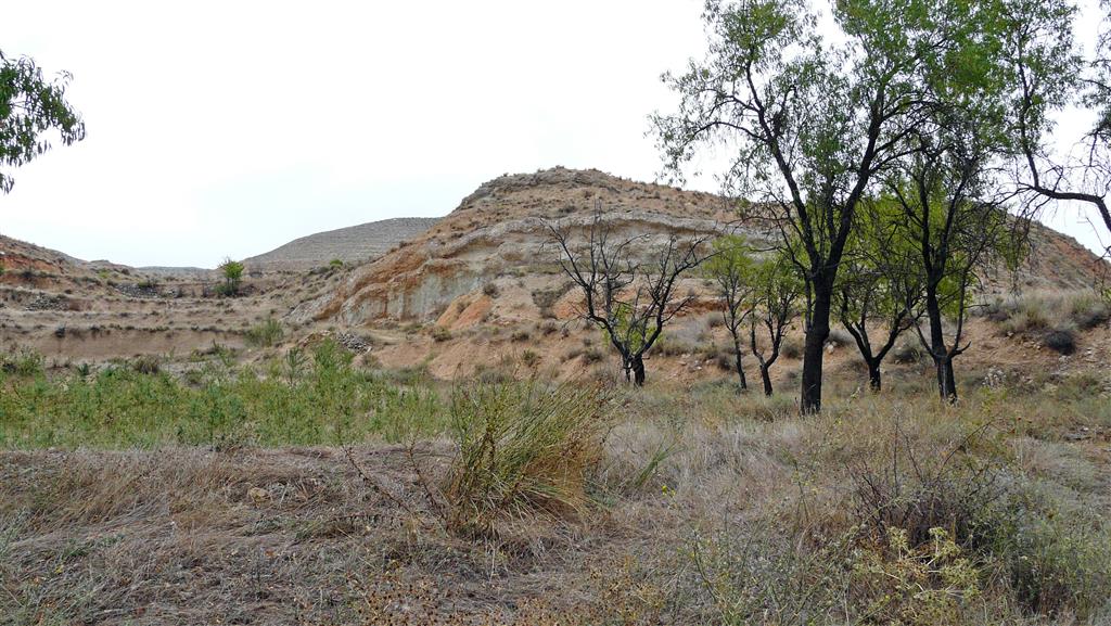 Vista al N de las unidades basales del relleno mioceno de la cuenca (lutitas rojas de la Unidad de Valdemoros-Vargas; abanicos aluviales de escaso desarrollo), en las proximidades del basamento paleozoico.