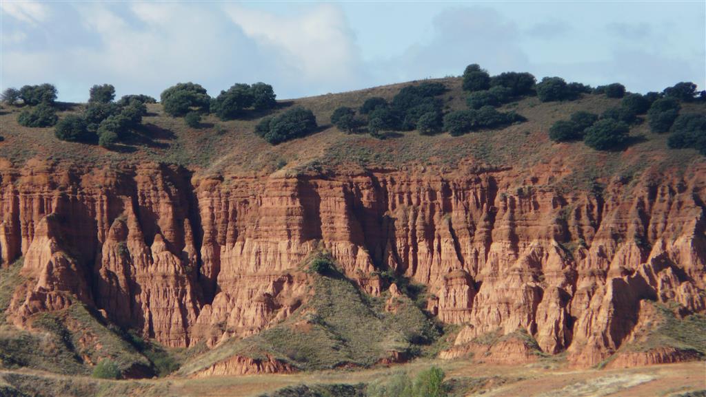 Facies detríticas (limos y arcillas rojas) fosilíferas (Formación Navarrete) correspondientes a facies de zonas medias o distales de abanicos aluviales.