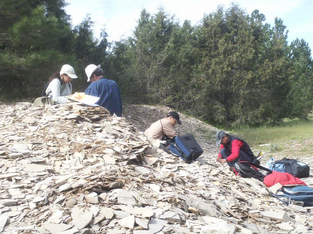 Excavación en el área vallada del yacimiento