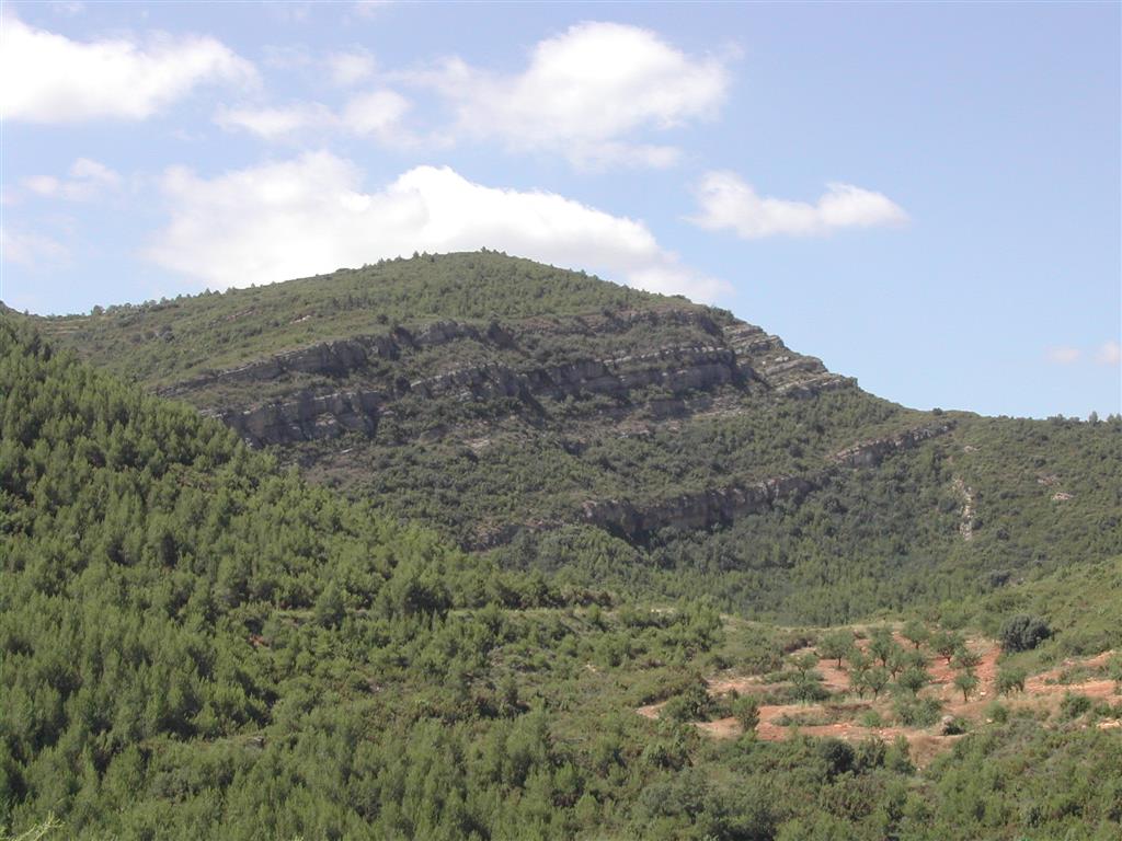 (676.361, 4.383.021). Vista de detalle de (zoom en) las unidades del Cretácico superior de la Sierra del Burgal desde el camino de subida a la Fuente de la Puerca.