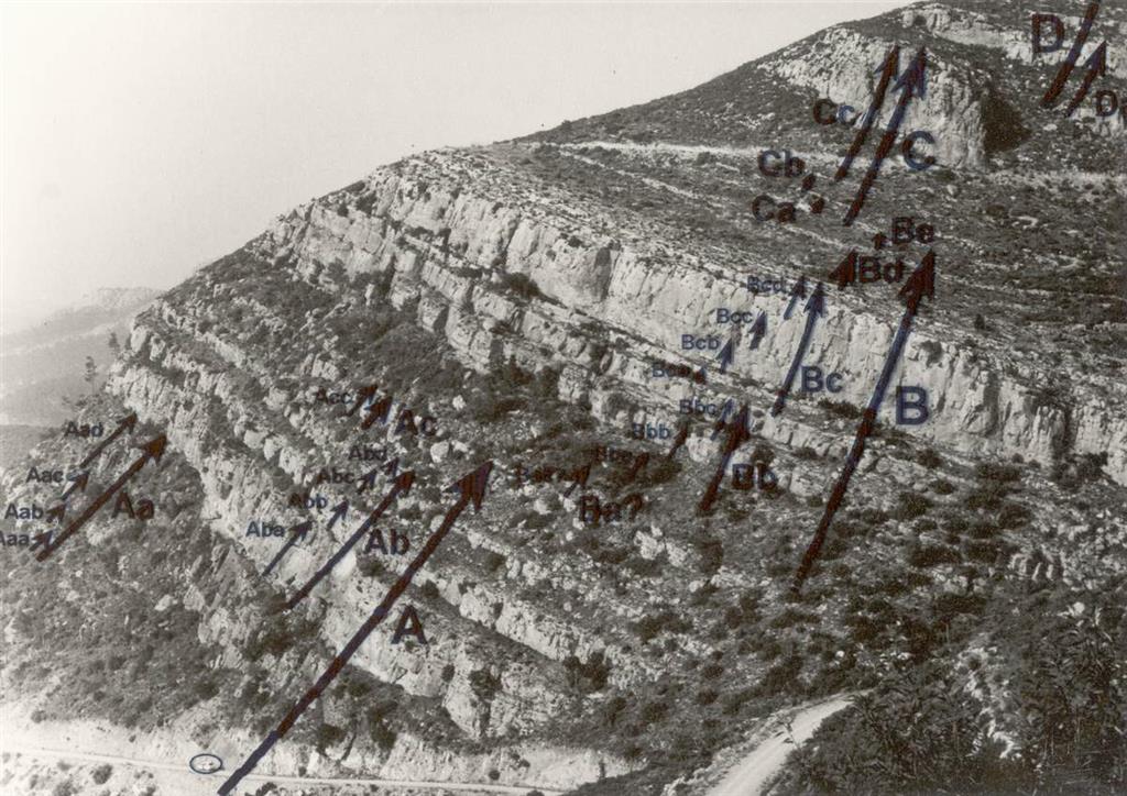 Cartografía de la secuencialidad y ciclicidad sobre la expresión morfológica de la sucesión sedimentaria.