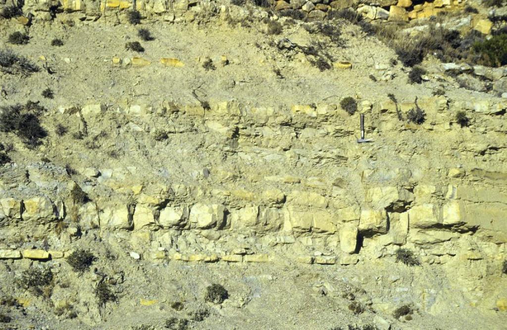 Detalle del tránsito entre el Jurásico Inferior y el Jurásico Medio, en la Sección de Fuentelsaz. El límite Toarciense-Aaleniense se sitúa a unos 40cm por debajo del martillo