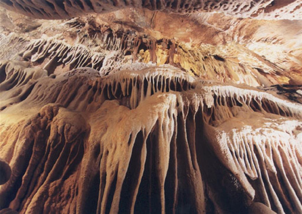 Colada estalactítica en la Cueva La Paz. Fotografías de J.M. Zorzano [Gobierno de La Rioja]