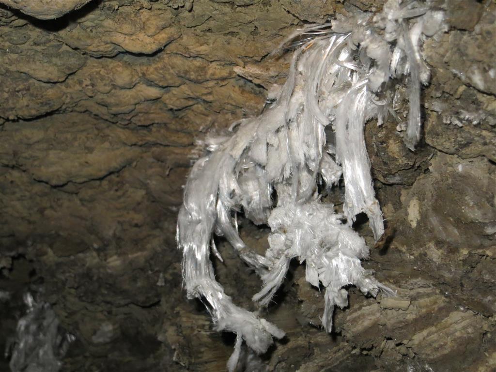 Detalle de un grupo de cristeles curvados de epsomita de hasta 15 cm de longitud