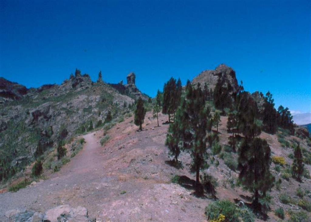 (Roque Nublo). Vista panorámica de la cumbre de Roque Nublo