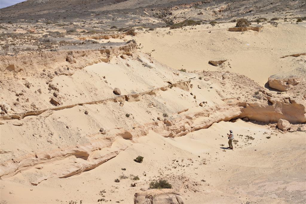 Diferentes niveles de arenas en Montaña de la Costilla