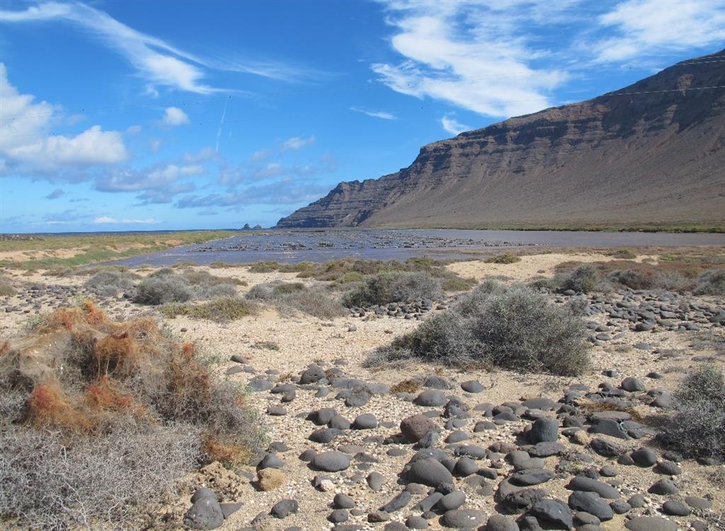 Detalle de la zona plana dónde se localizan las salinas, al pie del acantilado de Famara