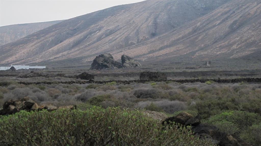 Uno de los bloques erráticos de las Peñas de Tao