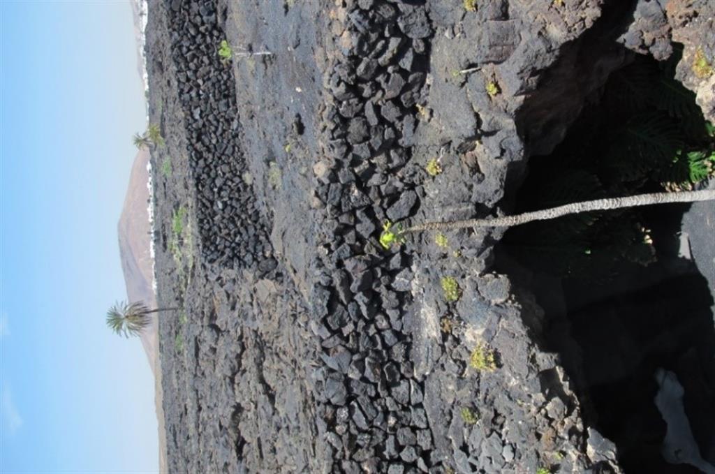 Vista de la colada de lava de Timanfaya en la que se encuentra la sede de la Fundación César Manrique.