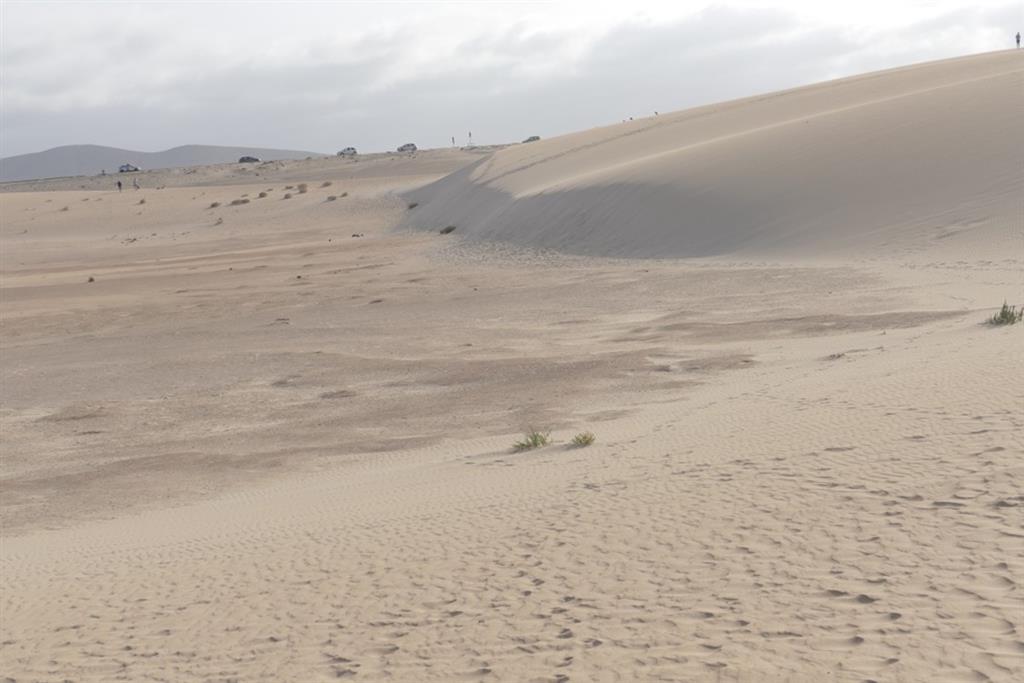 Frente de duna