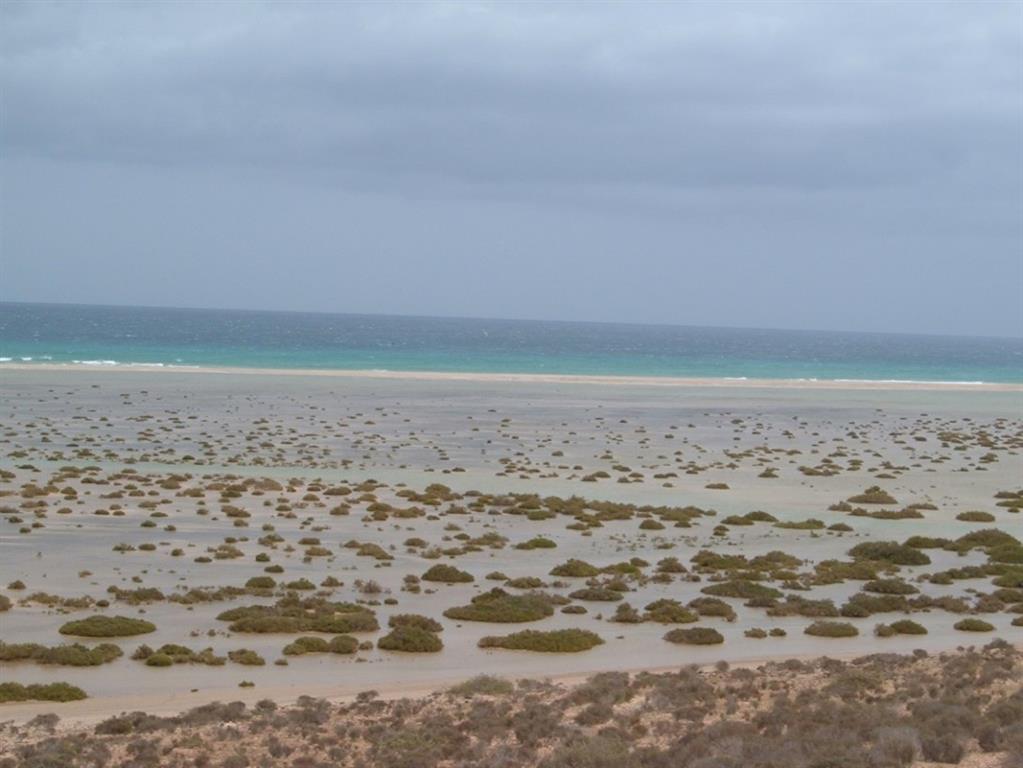 Las playas de sotavento forman un relieve costero único en Canarias con alto valor paisajístico y biológico
