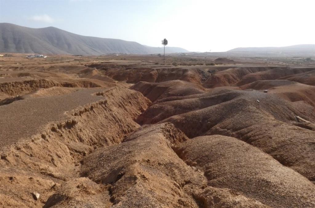 Cárcavas profundas en suelos arcillosos (argids). La zona de La Matilla –Temejereque es el campo de cárcavas más extenso de Canarias