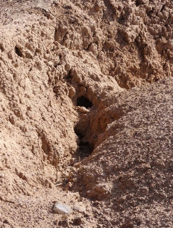 Erosión en túneles en cárcavas de La Matilla